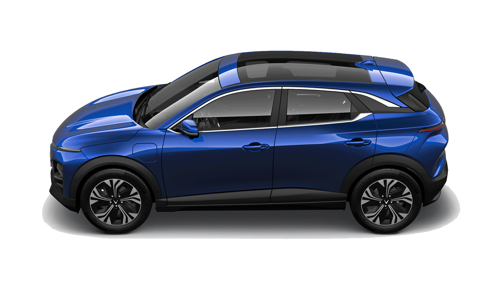 VF 6 Blue