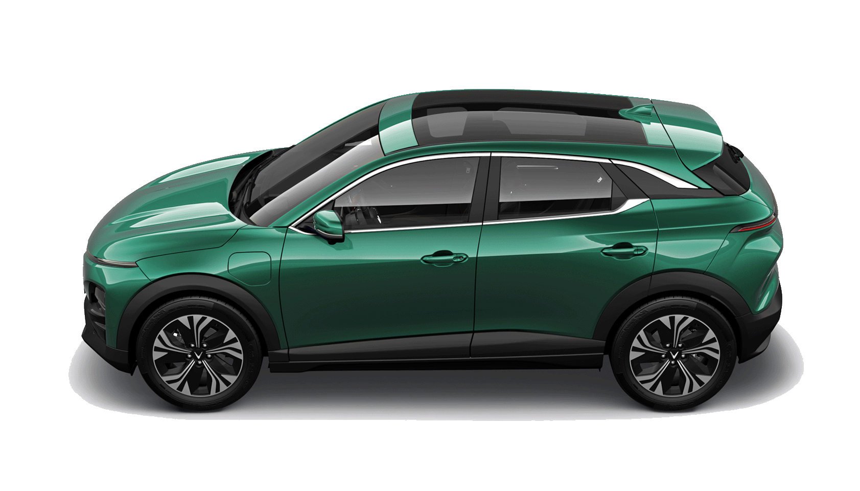 VF 6 Green
