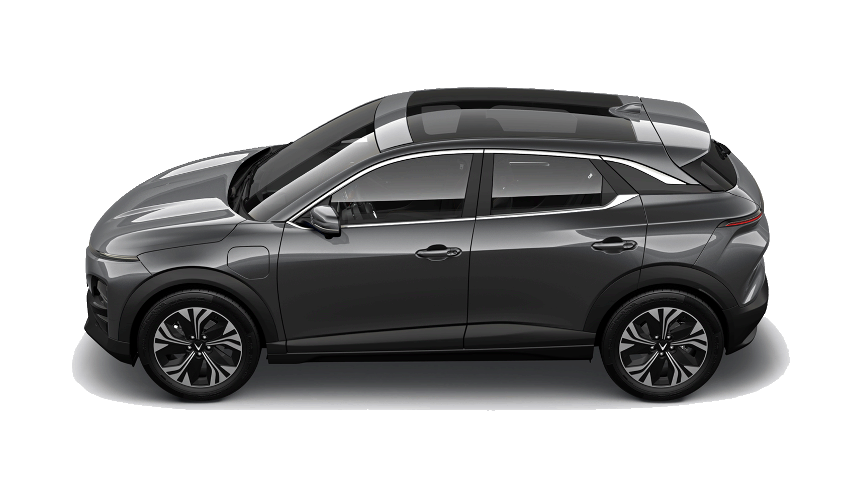 VF 6 grey