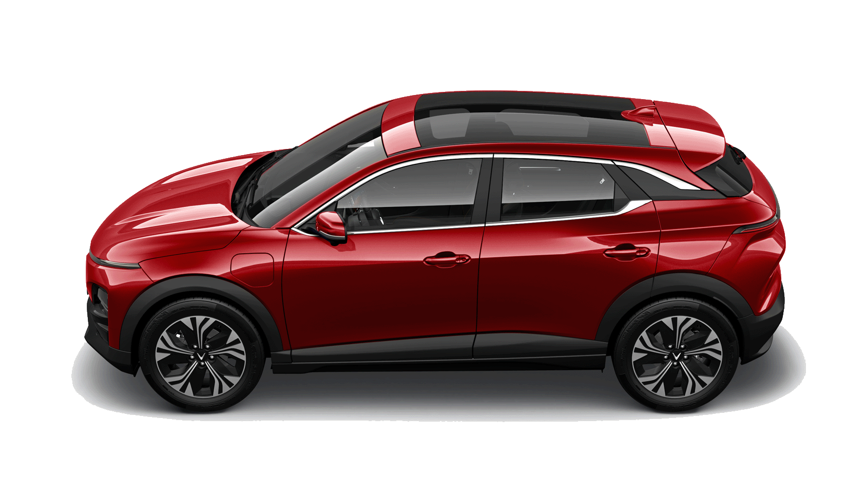VF 6 red